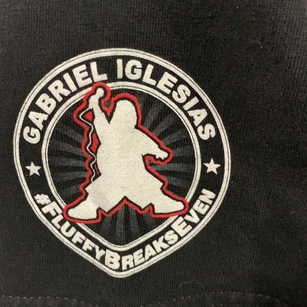 Gabriel Iglesias World Tour T-shirt 2016, sz Med, short sleeves, good condition